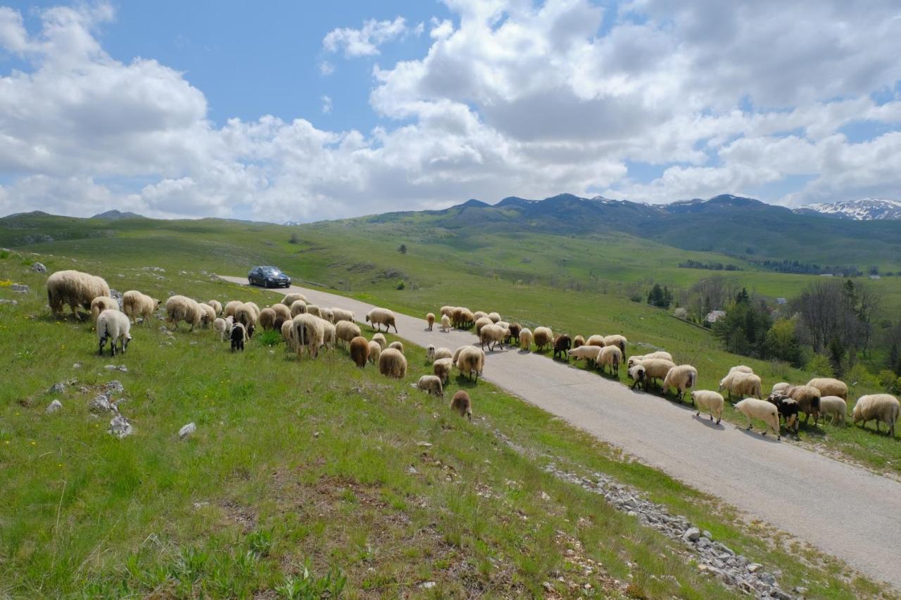 4north Mountain House On The Durmitor's Ring * Pluzine